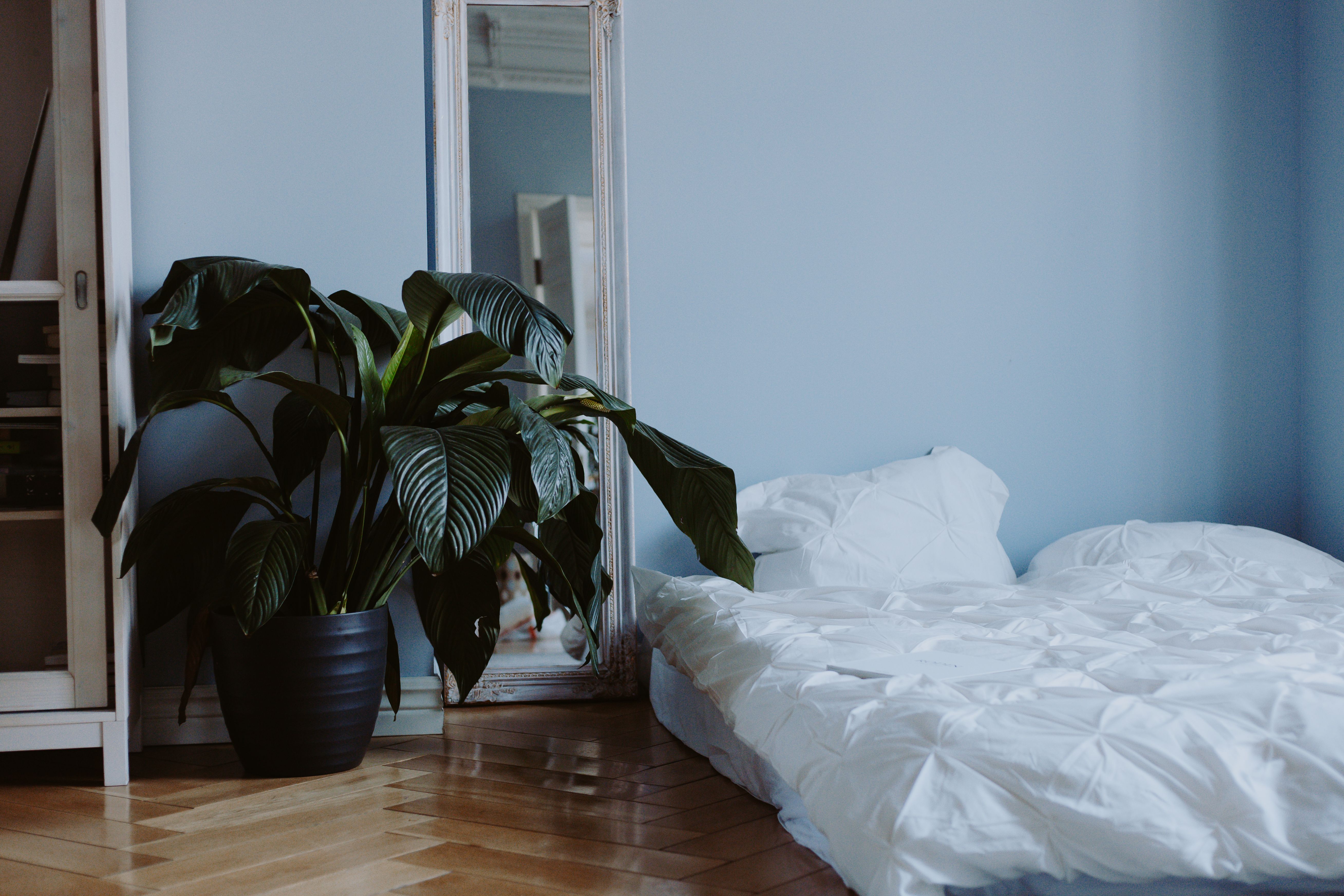 Bright modern bedroom with a comfortable white bed, green plants, natural light, and minimalist decor